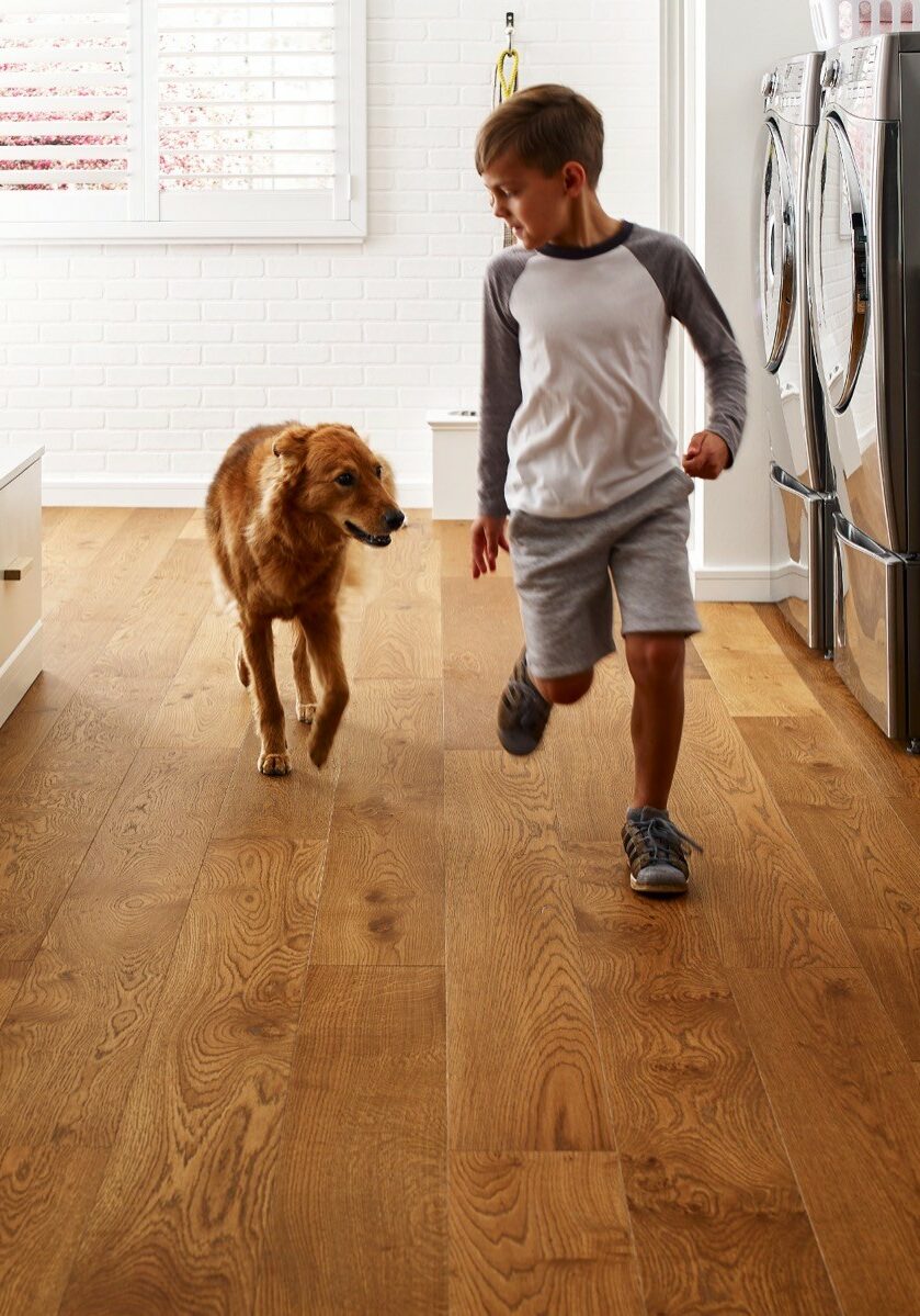 Pet friendly floor | Five Star Flooring